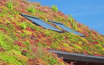 Chapelhill living roof systems