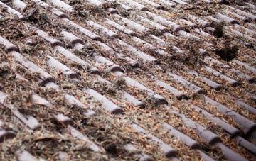 Chapelhill roof cleaning companies