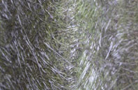 Chapelhill fibreglass roof work